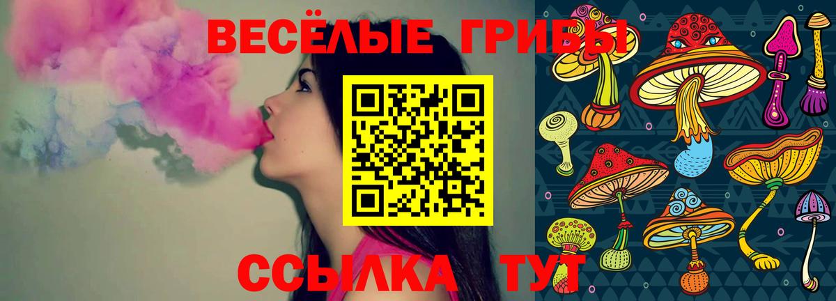 как найти   Псилоцибиновые грибы MAGIC MUSHROOMS  Минеральные Воды  Вход с VPN  Псилоцибиновые грибы прущие грибы 